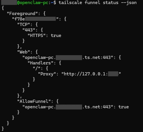 tailscale funnel status · public url